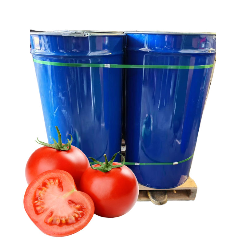 Fresh Taste Natural Ketchup Brix 36-38 Tomato Paste in Drum Packing High Quality Product