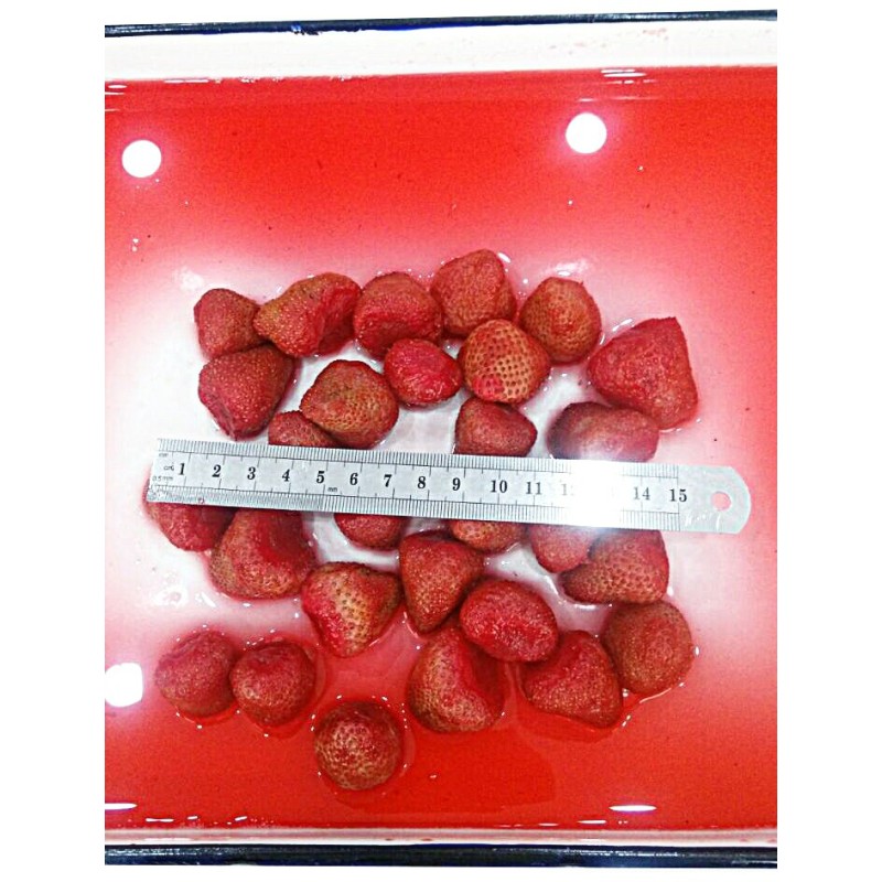 New Season Whole Slice Diced Halves Canned Strawberry Fruit Syrup Pulp Premium Quality Canned Fruit