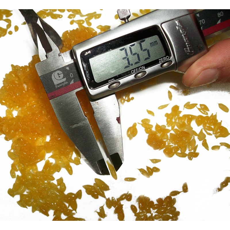 3kg Canned Mandarin Orange Syrup Pulp Category Canned Fruit