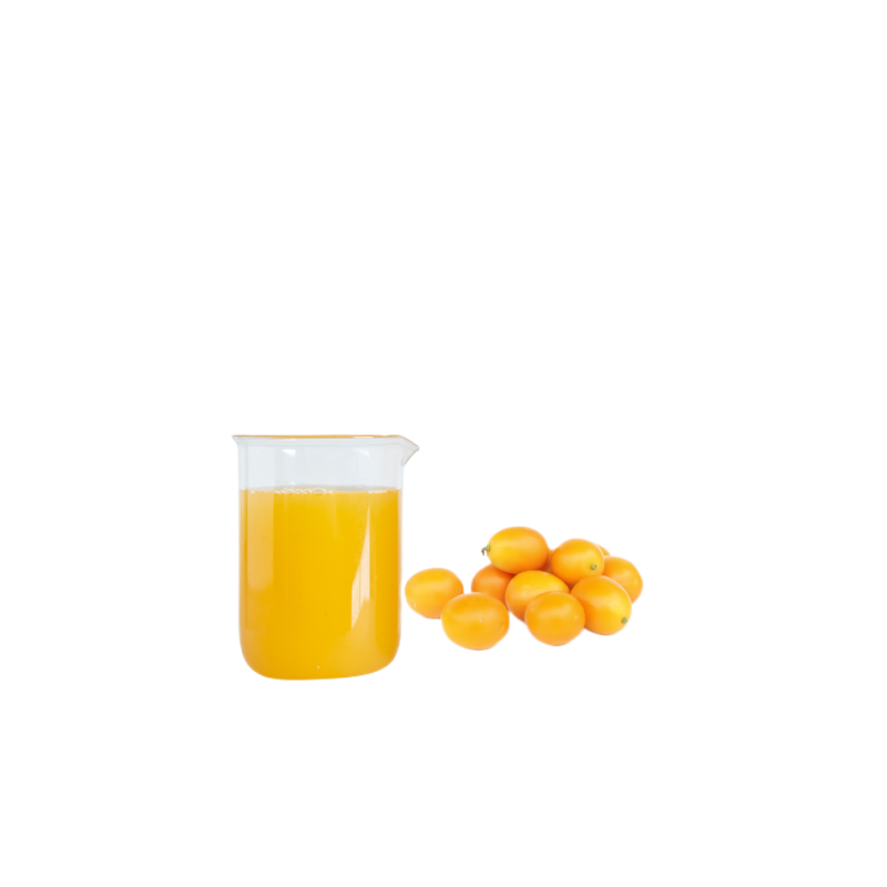 Aseptic 200kg Bag Drum Pure Natural Beverage Drink Raw Material Fruit Puree Mango Fermented Juice Category Fruit Vegetable Juice