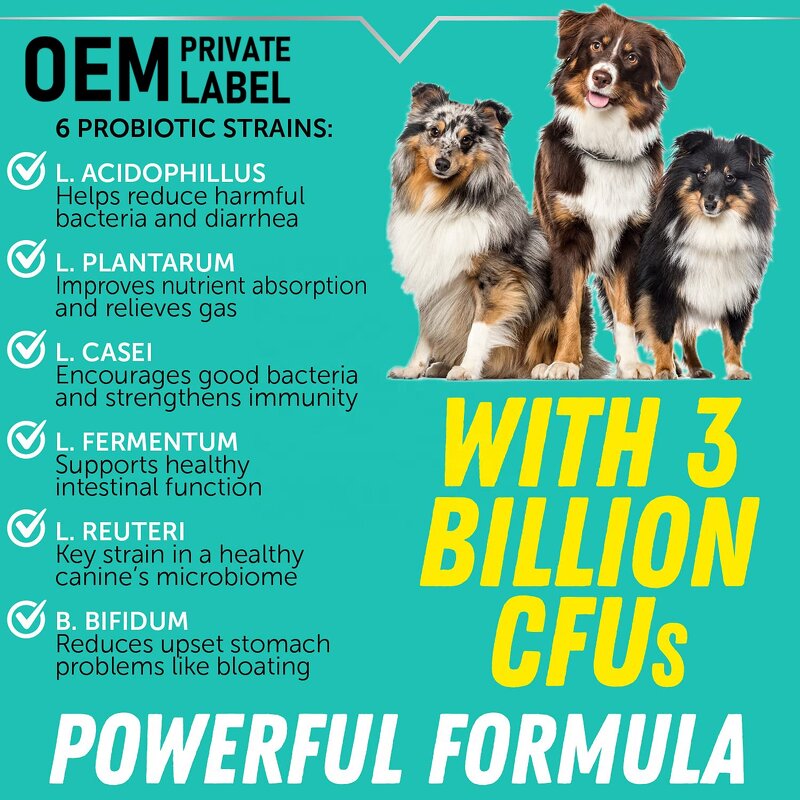 Probiotics for Pets Supplier - Digestive Enzymes Supplement for Dogs Cats