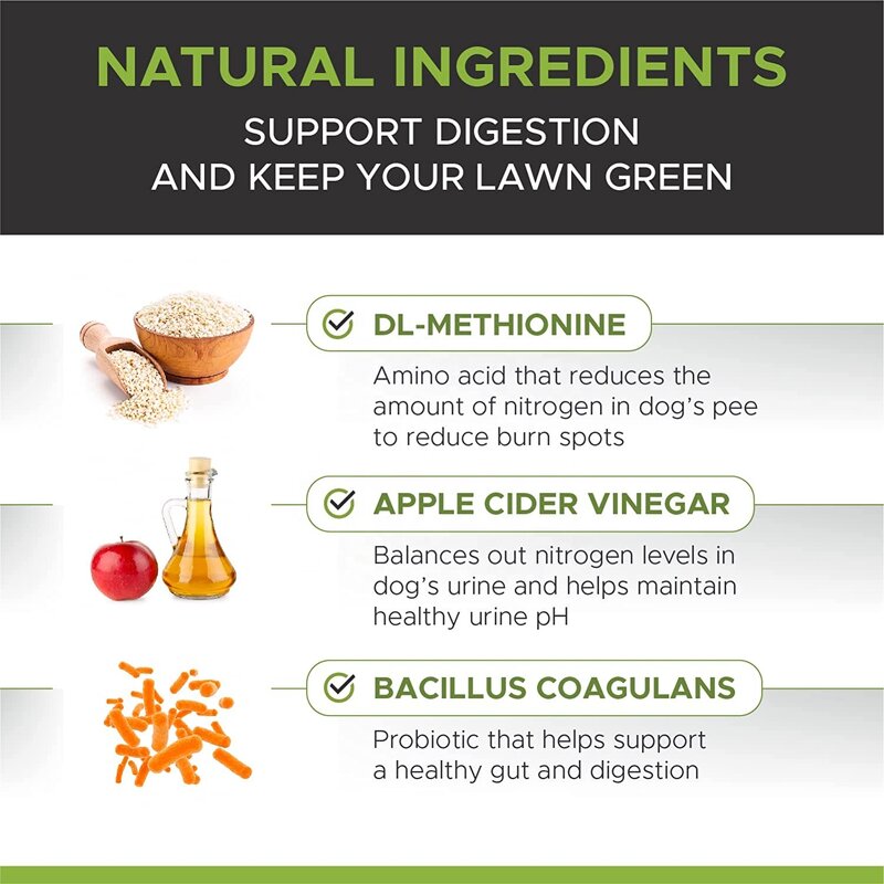 Dog Vitamin Probiotic Supplier - OEM Advanced Hip Joint Supplement