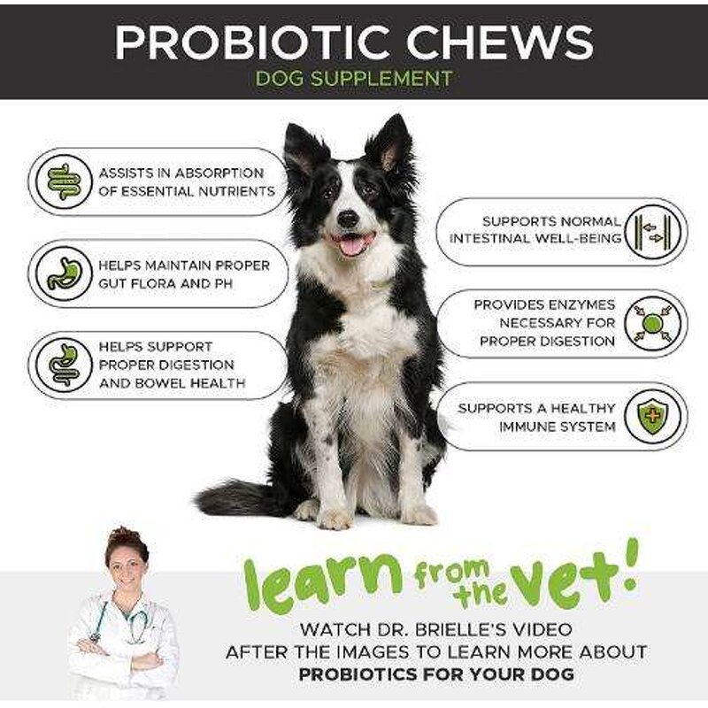 Probiotic Soft Chews Supplier - OEM Custom for Dogs Cats