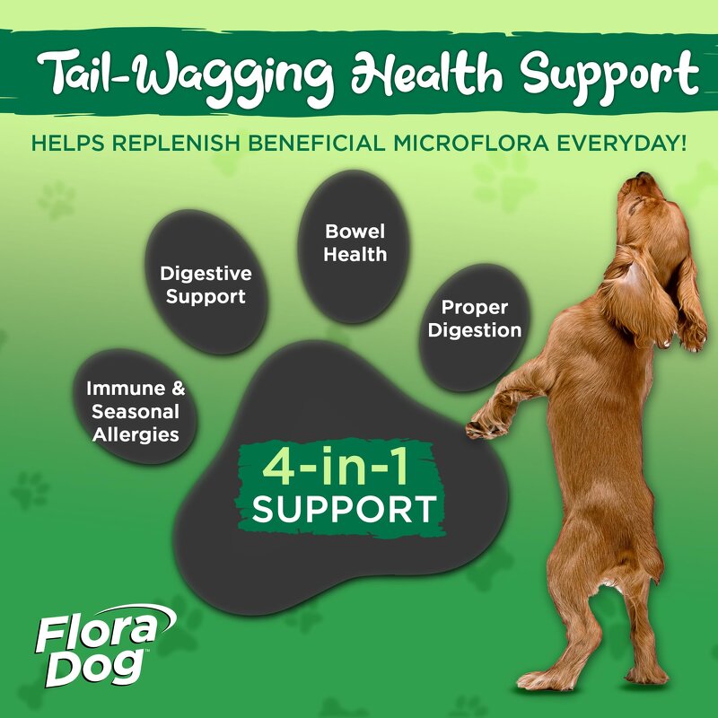 Probiotics Soft Chews Supplier - OEM Private Label Chicken Turkey Flavor