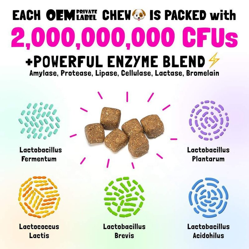 Probiotic Dog Chews Factory - OEM Soft Chews for Digestive Health