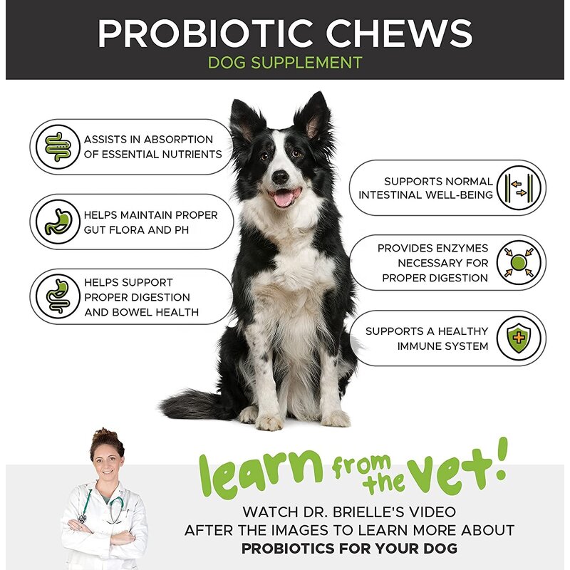 Dog Probiotics Chews Manufacturer - Private Label Digestive with Chondroitin