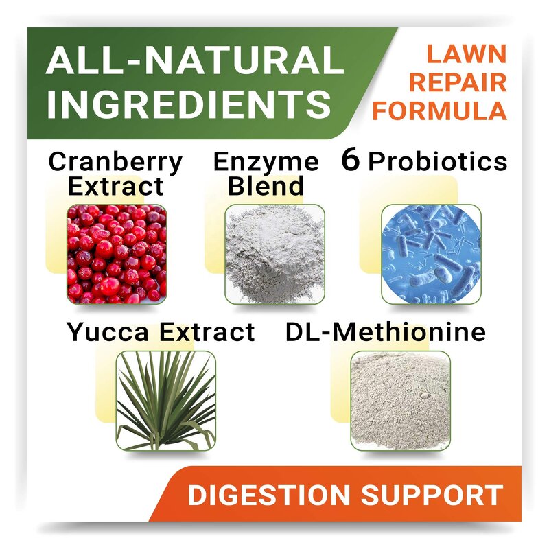 Digestive Probiotic Dog Chews Manufacturer - Immunity Health Seasonal Allergies