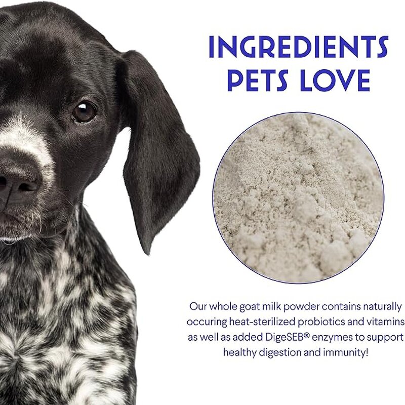 Goat Milk Powder Supplier - OEM Label Nutrition for Digestion Immune