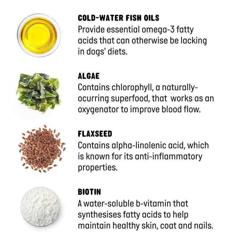 Omega 3 Dog Chews Factory - Fish Oil for Skin and Coat