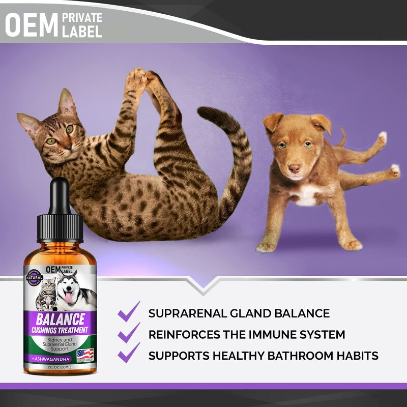 Kidney Support Drops Factory - Pet Liquid Supplement for Cushings