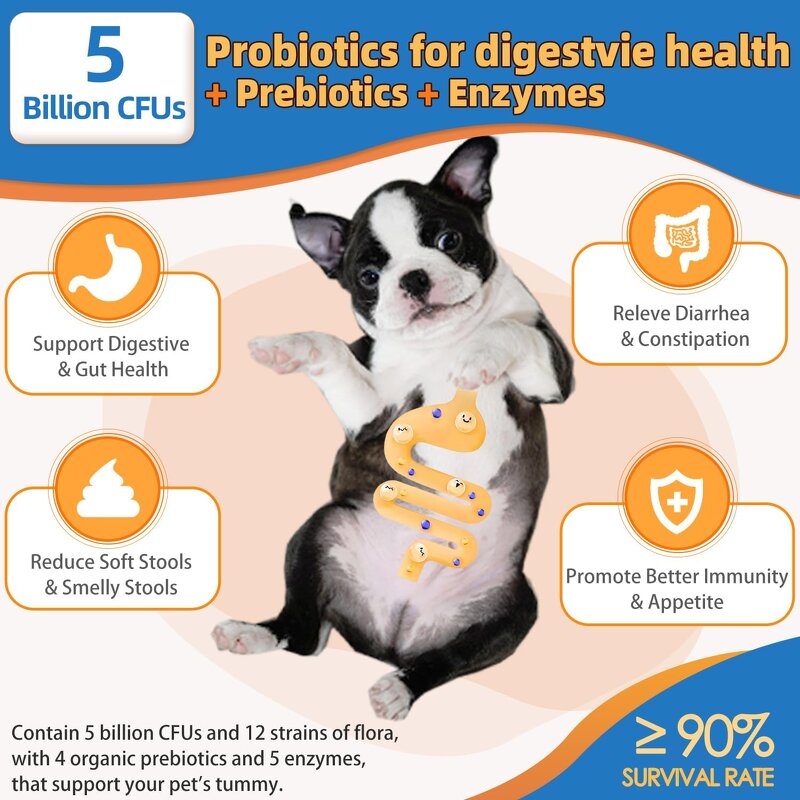 Dog Multivitamin Powder Factory - OEM for Immune Coat Digestive Health