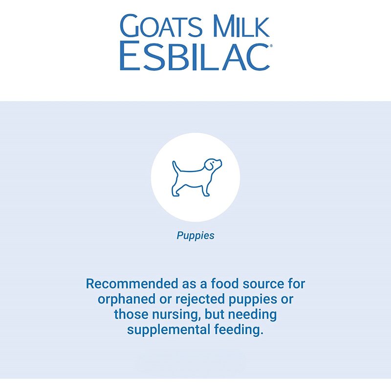 Goat Milk Powder Supplier - Full-Fat for Puppy Weaning Hot Item