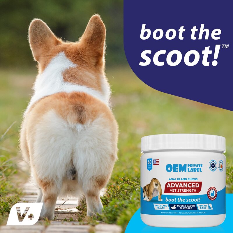 Dog Joint Chew Manufacturer - Probiotics Multivitamin with Glucosamine