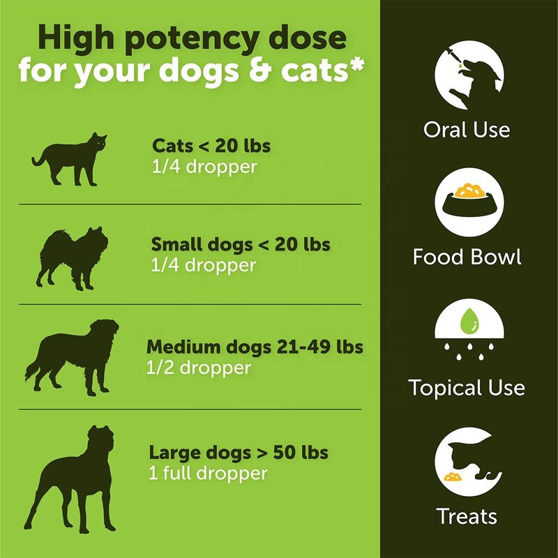 Hemp Oil for Pets Manufacturer - OEM Anxiety Pain Hip Joint Support