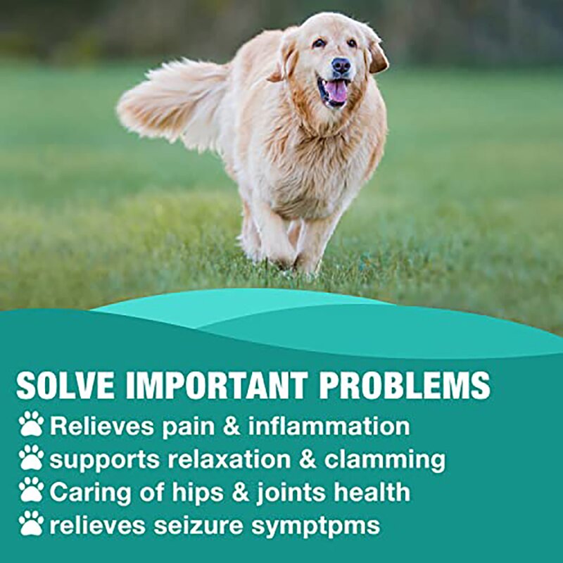 Hemp Seed Oil Drops Factory - OEM Organic Immune Support Liquid