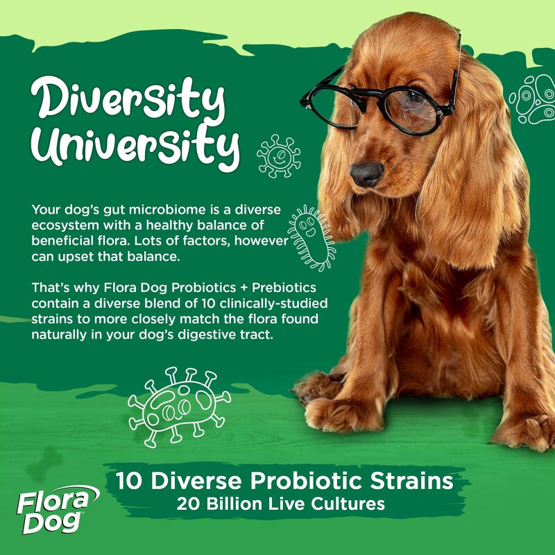 Probiotics Soft Chews Supplier - OEM Private Label Chicken Turkey Flavor