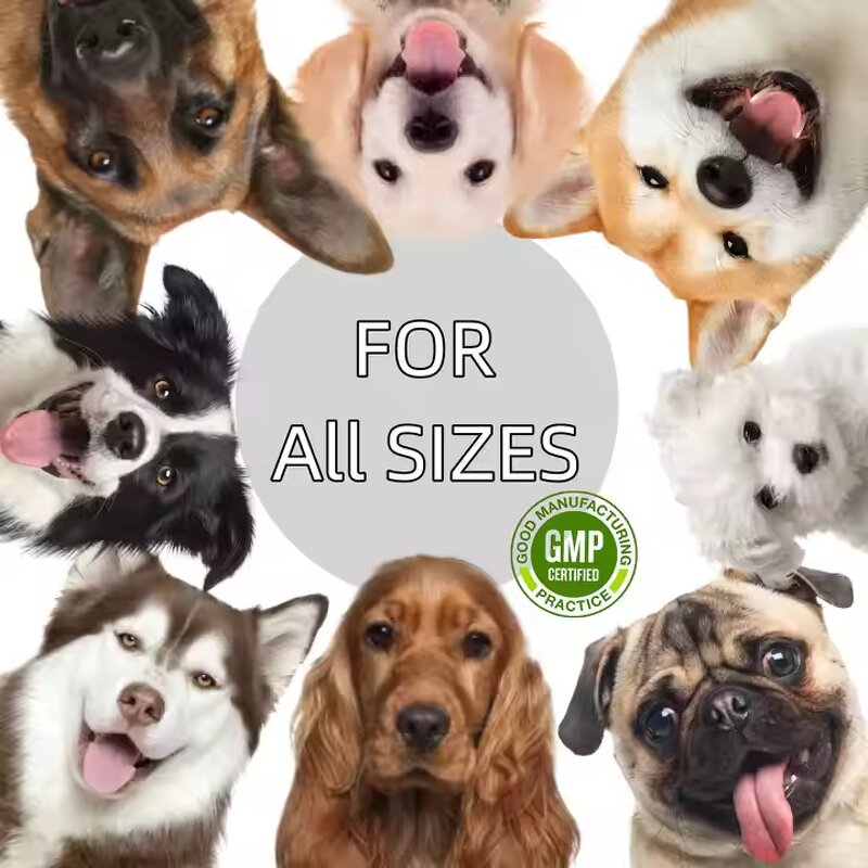 Goat Milk Powder Supplier - OEM Label Nutrition for Digestion Immune