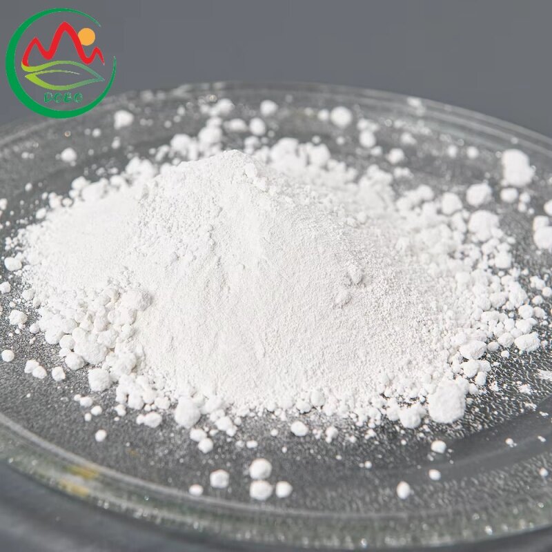 Water Based Adhesive Resin Manufacturer - Polyester Putty Filler DCPD Polymer Powder
