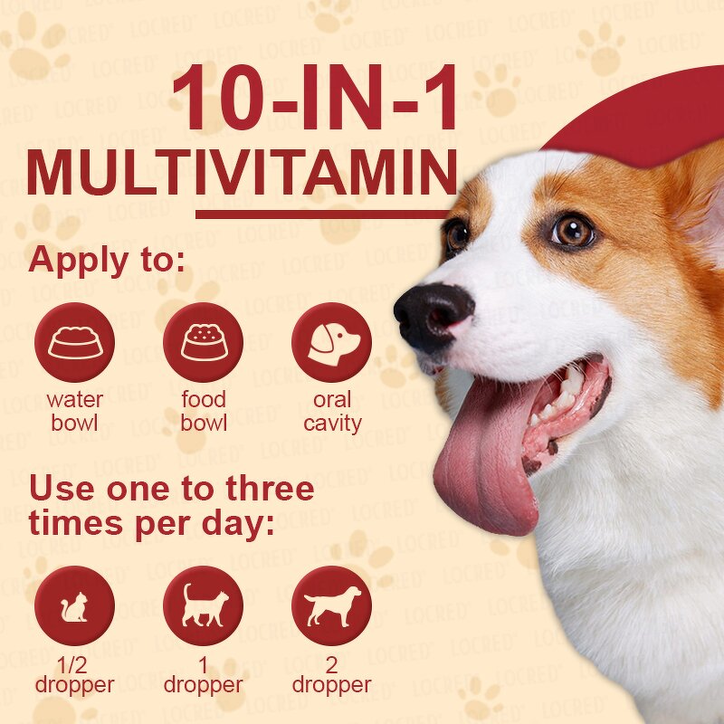 Pet Multivitamin Drops Supplier - Private OEM Complex 10-In-1 Support