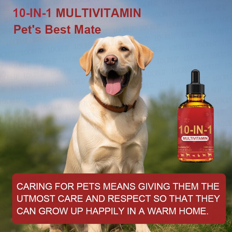 Pet Multivitamin Drops Supplier - Private OEM Complex 10-In-1 Support