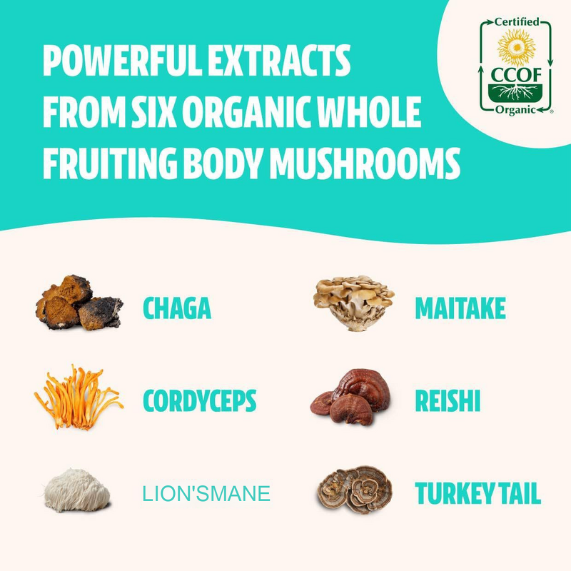 Mushroom Complex Softgels Factory - Hot Sale in Stock for Adults Export