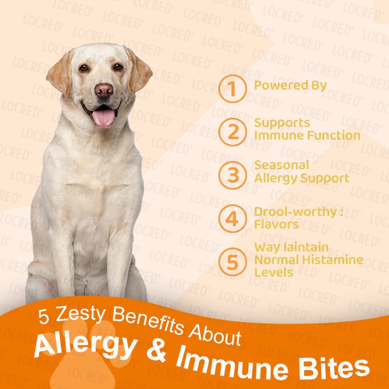 Probiotics for Dogs Supplier - OEM Hot Sales Digestive Enzymes Chews