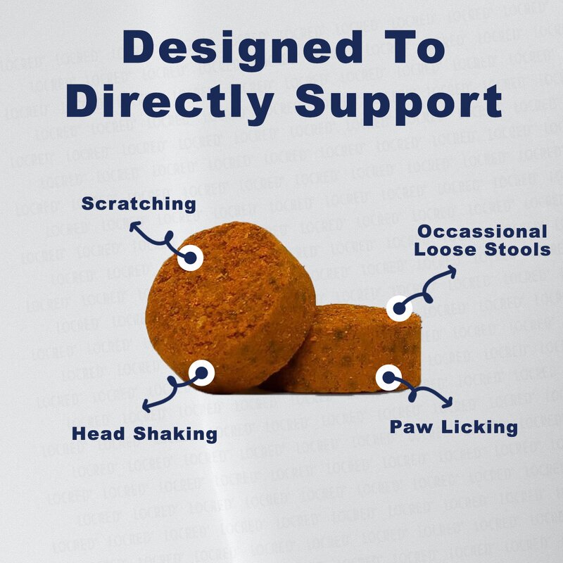 Probiotics Chews for Pets Manufacturer - OEM Customized Shape Digestive