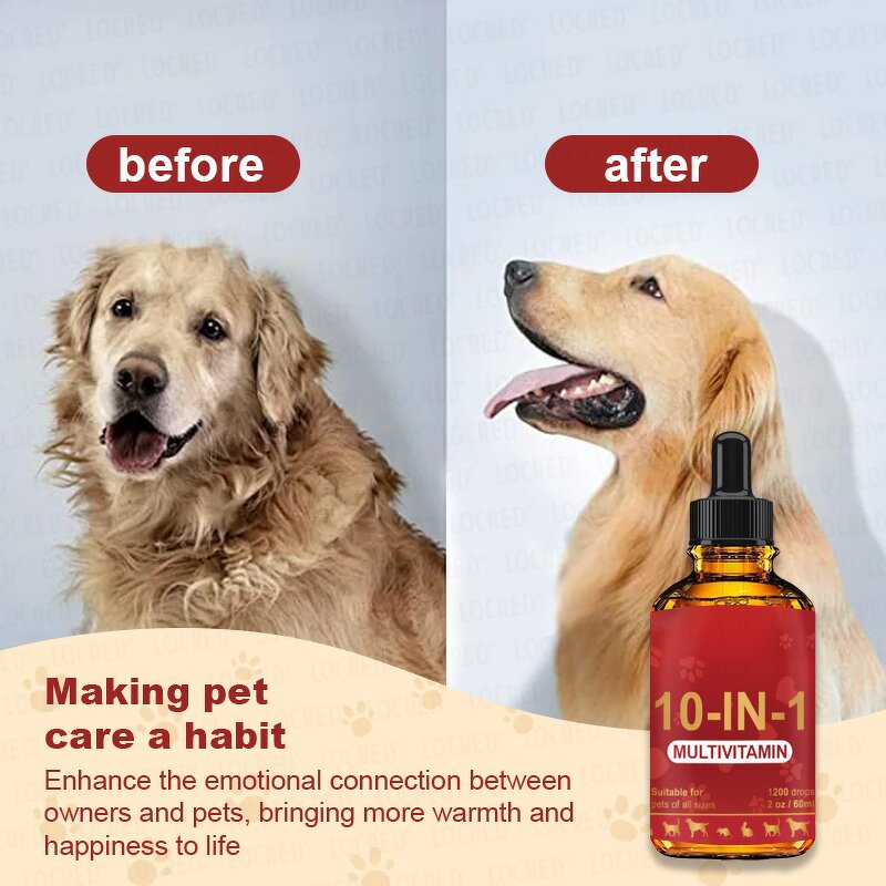 Pet Multivitamin Drops Supplier - Private OEM Complex 10-In-1 Support