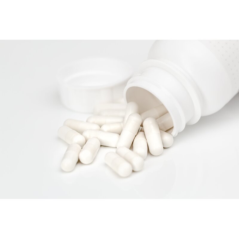 Ginkgo Biloba Capsules Supplier - Supports Brain Health 120 Capsules