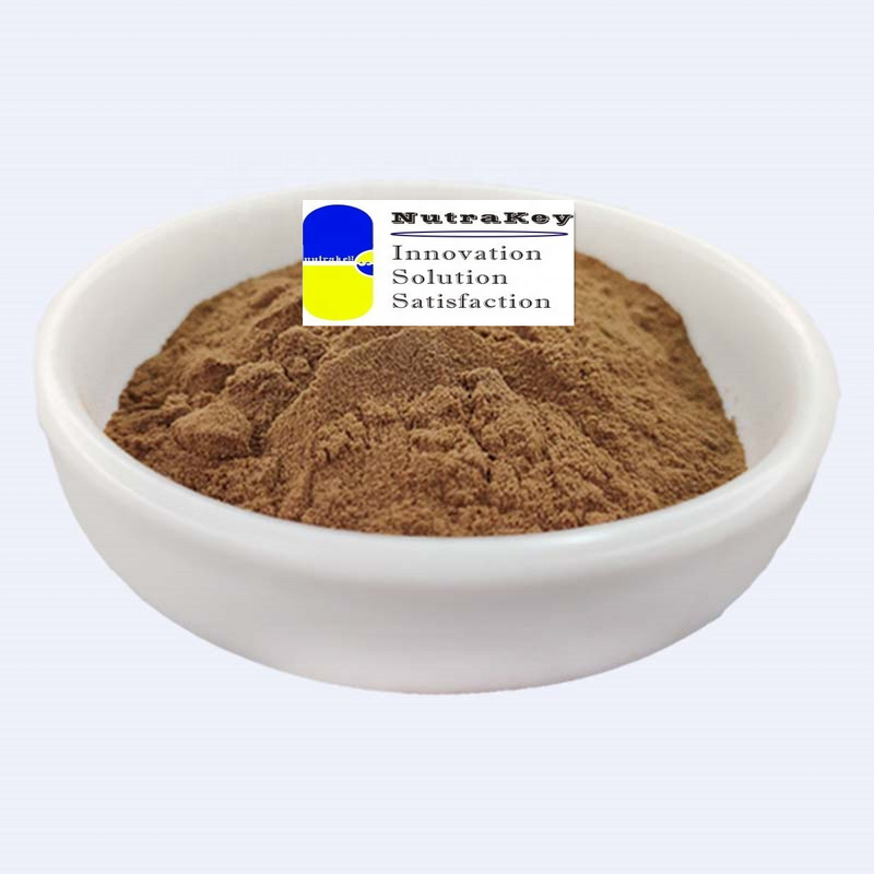 Monk Fruit Extract Powder Factory - Organic Mogroside V10% Free Sample