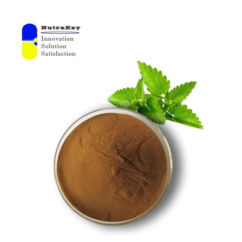 Peppermint Leaf Powder Manufacturer - Pure Natural Cooling Flavor
