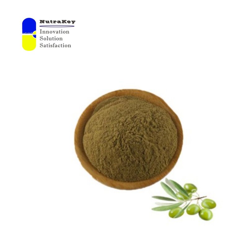 Olive Leaf Extract Powder Manufacturer - 12% Oleuropein Antioxidant Support