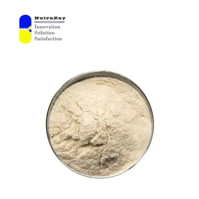 Fucoidan Powder Manufacturer - 85% HPLC Brown Seaweed Extract