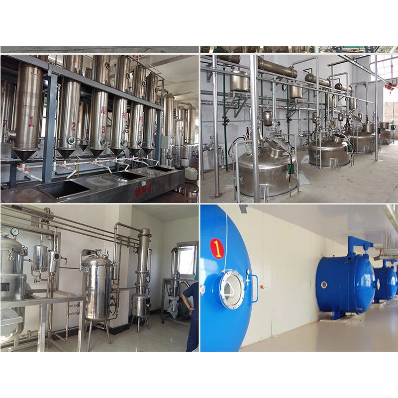 Fucoxanthin Powder Factory - 10% UV Laminaria Japonica Extract Fat Burner