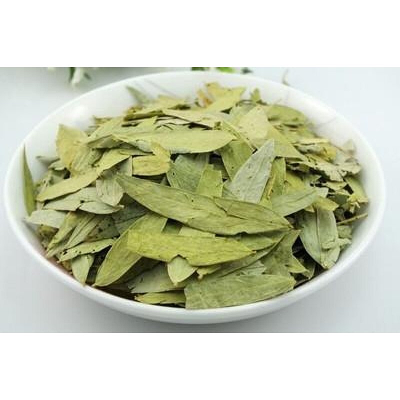 Senna Leaf Extract Supplier - 40% High Purity Plant Supplements