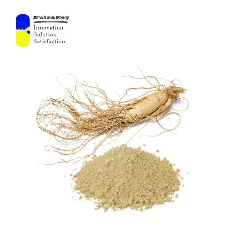 Ginseng Extract Powder Factory - 7% Ginsenosides Energy Immunity Support