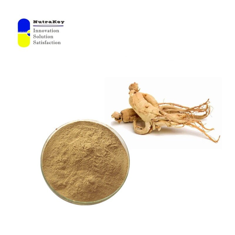Ginseng Extract Powder Factory - 7% Ginsenosides Energy Immunity Support