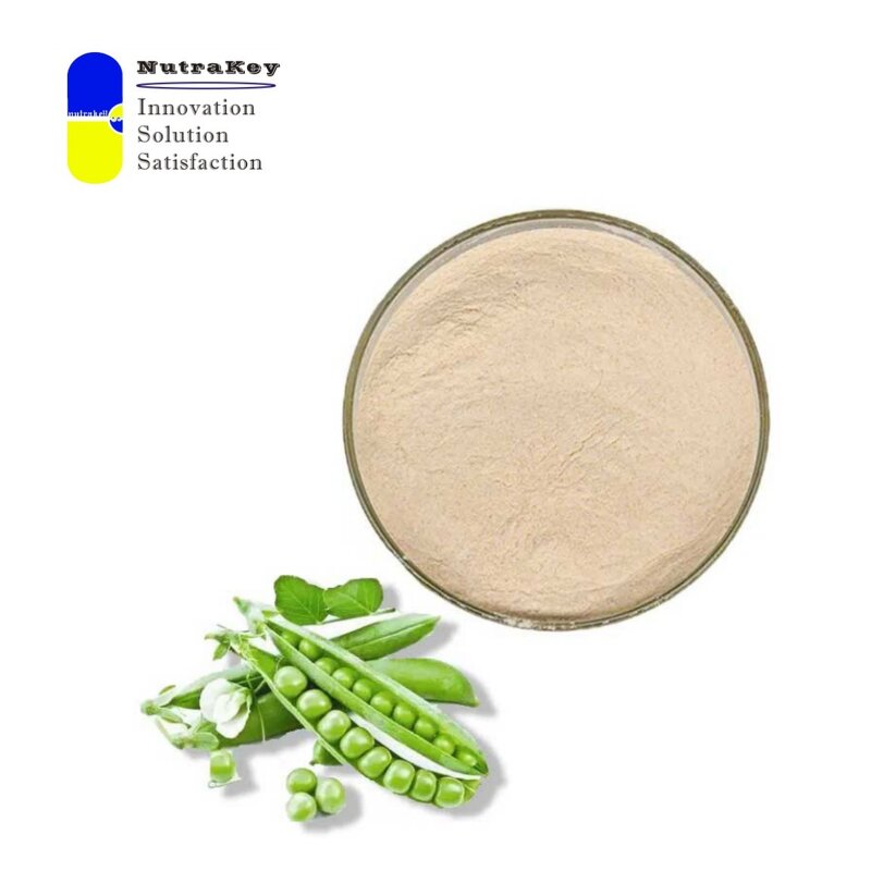 Pea Protein Isolate Powder Supplier - Non-GMO 80% Plant-Based Vegan