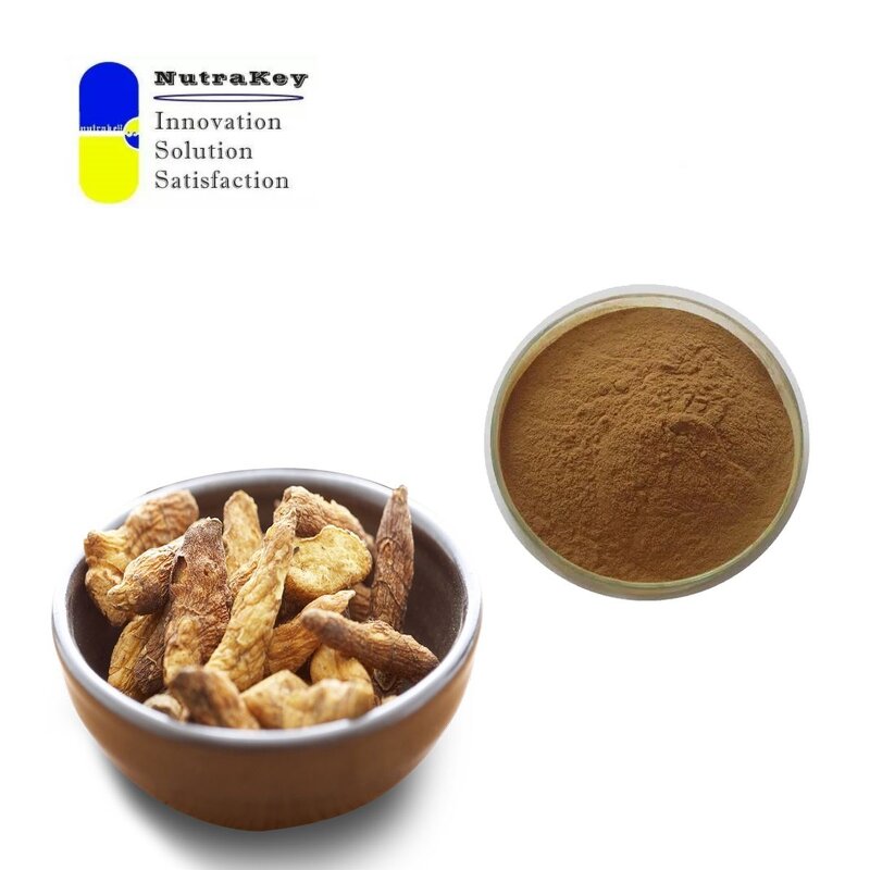 Rehmannia Extract Powder Manufacturer - Natural 10% Polysaccharides