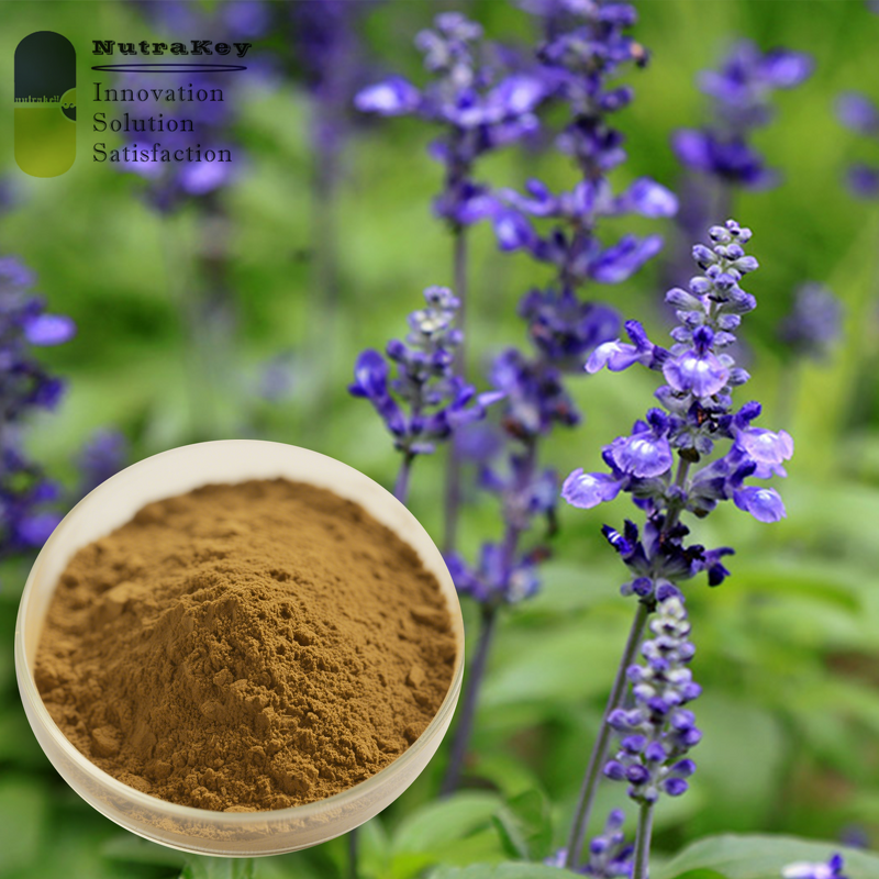 Sage Extract Powder Supplier - Wholesale 10% Polyphenols Rosmarinic Acid