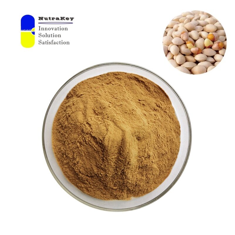 Ginkgo Seed Extract Powder Supplier - 4:1 Extract for Brain Health