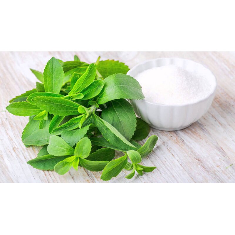 Stevia Extract Powder Manufacturer - Zero Calorie Sugar Substitute