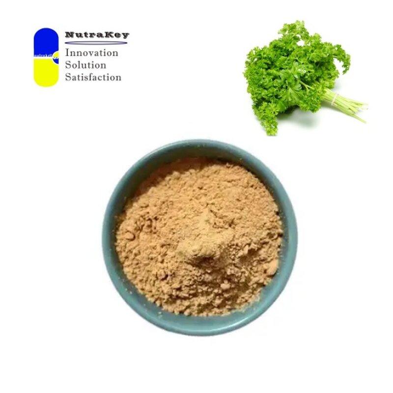 Parsley Extract Powder Manufacturer - 4:1 Petroselinum Crispum Extract