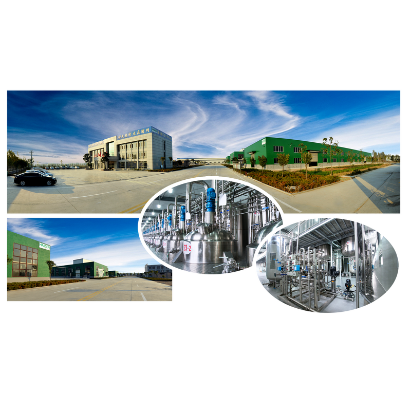 Stevia Leaf Extract Powder Manufacturer - Organic Food Grade Dry Powder