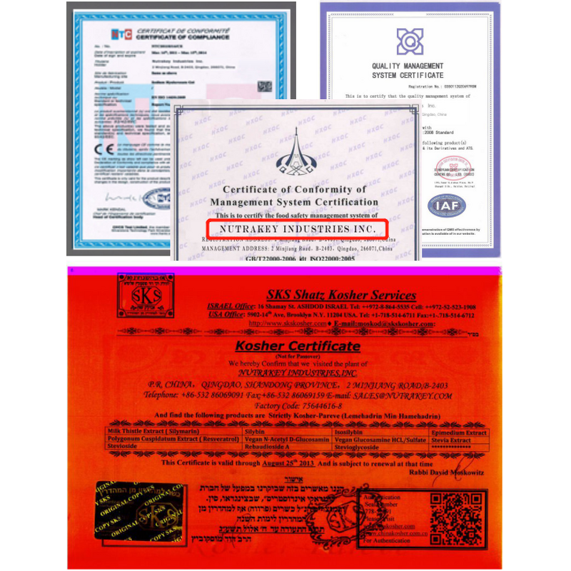 Stevia Leaf Extract Powder Manufacturer - Organic Food Grade Dry Powder