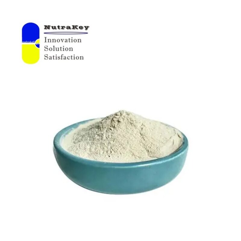 Fucoidan Powder Manufacturer - 85% HPLC Brown Seaweed Extract