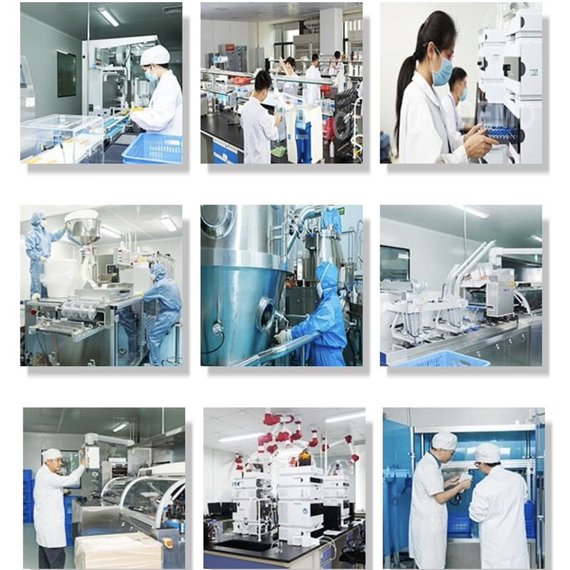 Ginkgo Seed Extract Powder Supplier - 4:1 Extract for Brain Health