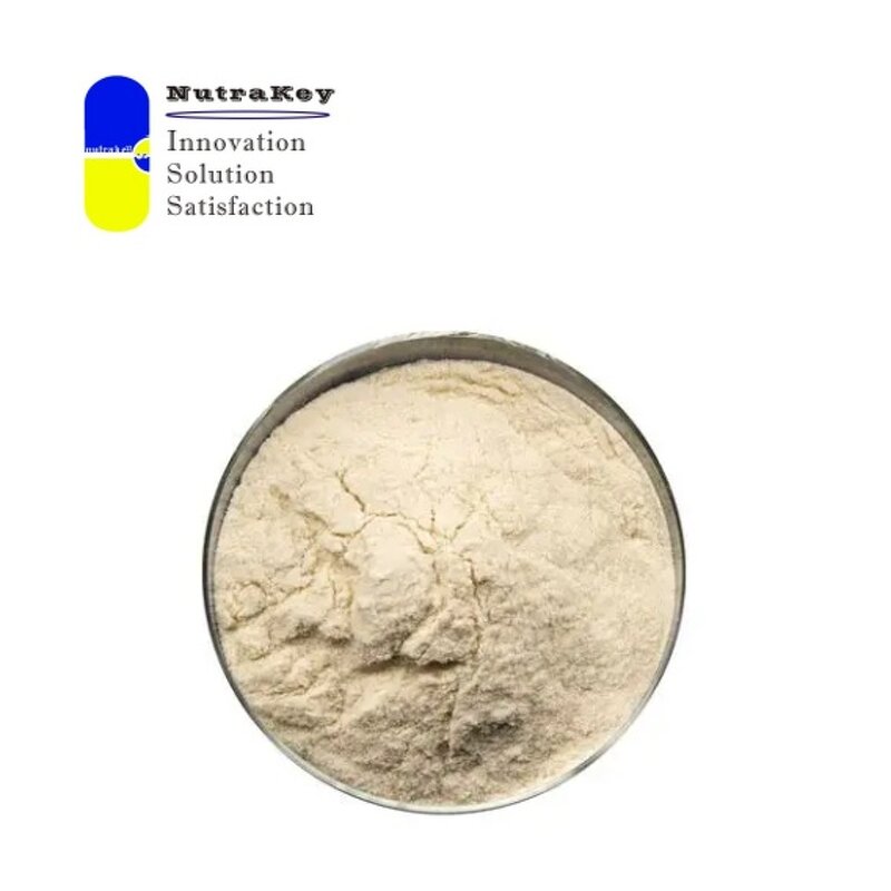 Fucoidan Powder Manufacturer - 85% HPLC Brown Seaweed Extract