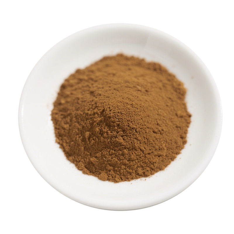 Senna Leaf Extract Supplier - 40% High Purity Plant Supplements