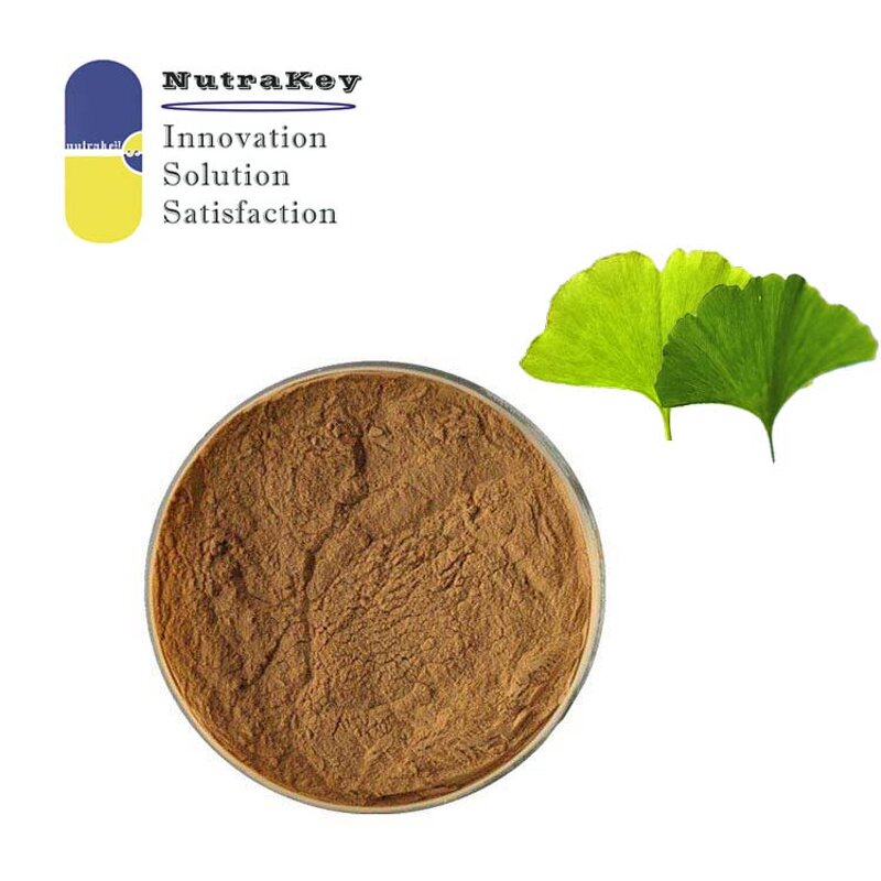 Ginkgo Biloba Extract Powder Supplier - USDA Organic 24% Flavonoids